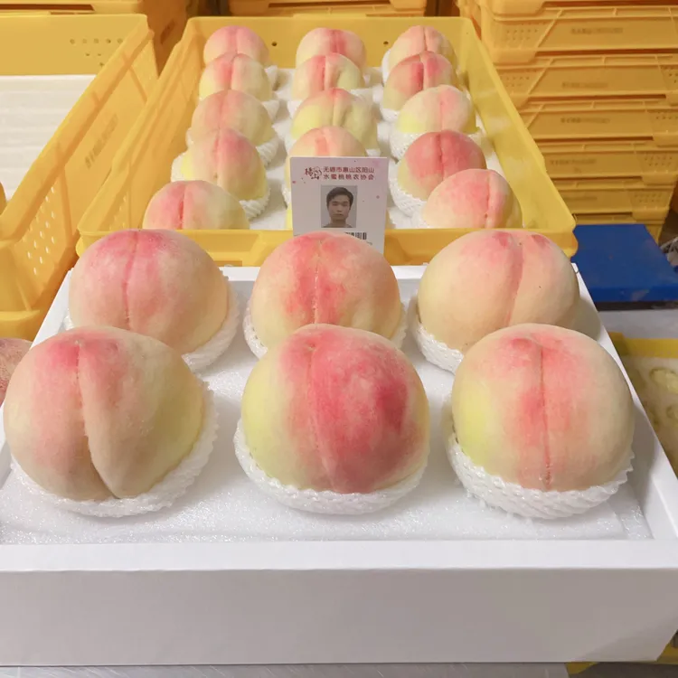现摘现发无锡阳山水蜜桃7两-1斤左右甜多汁当季新鲜水果顺丰直发