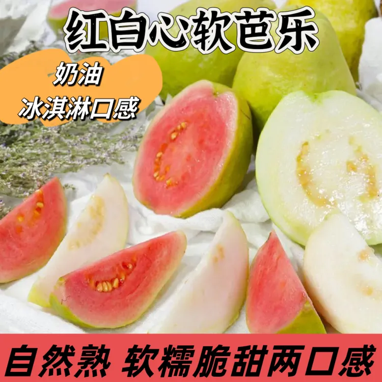 【顺丰】广西软芭乐红心白心奶油番石榴双拼低卡健身应季新鲜水果