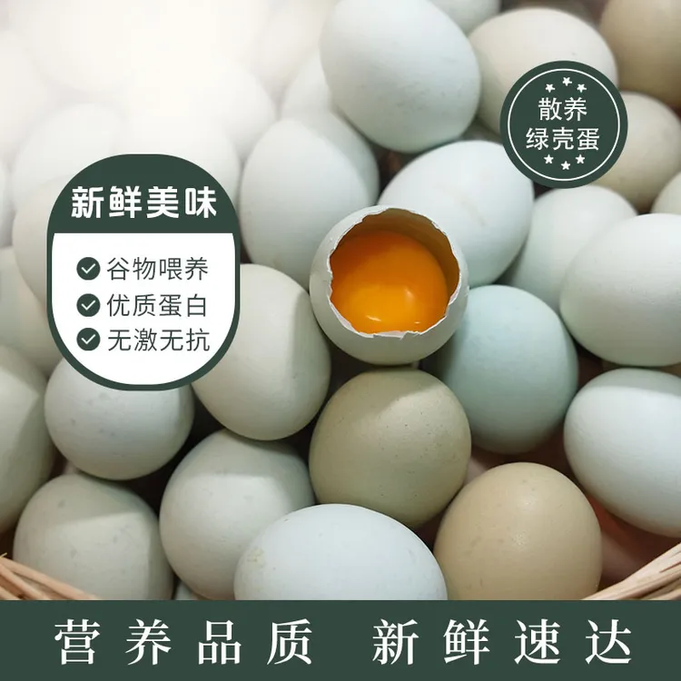30枚正宗农家散养绿壳土鸡蛋新鲜农村五谷喂养黑羽鸡绿壳生态营养