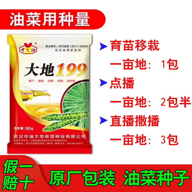 耐旱抗冻性强杂交油菜种大地199早熟油菜种子适应性广花籽粒