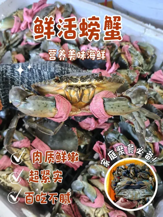 【顺丰活发】活鲜甄选越南精品奄仔青蟹处女蟹（4只装500g）