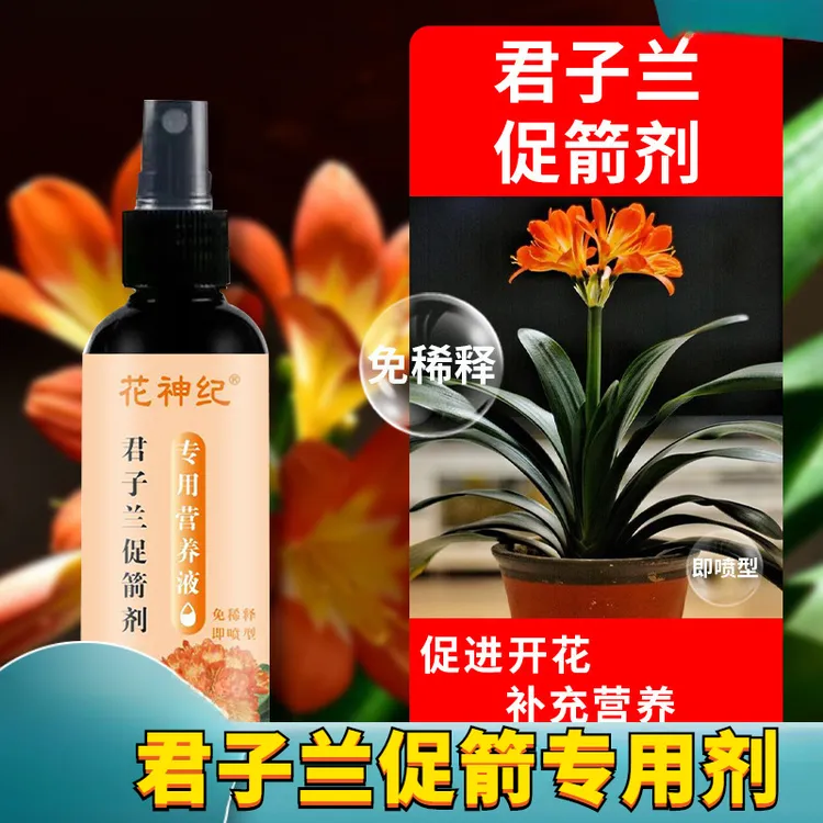 君子兰促箭剂黄叶专用营养液促箭促开花植物花芽分化素水肥免稀释