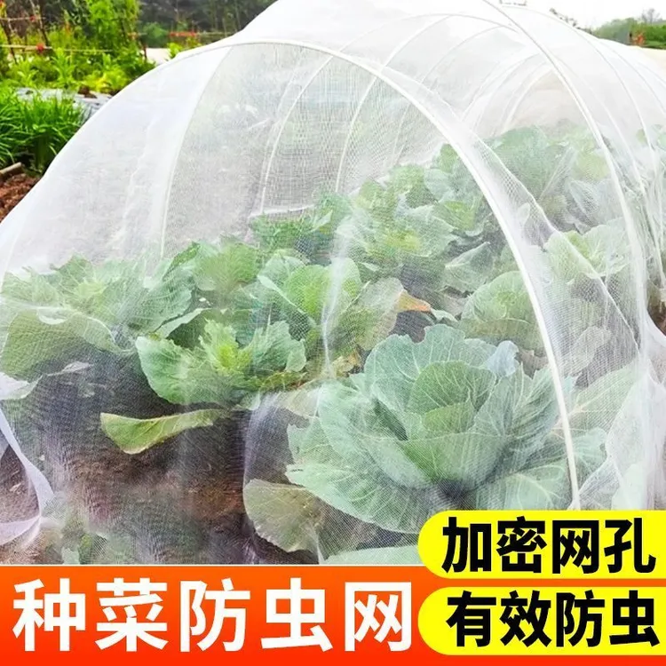 防虫网种菜专用网80目防虫罩加密纱网菜苗菜地果园网蔬菜防鸟罩