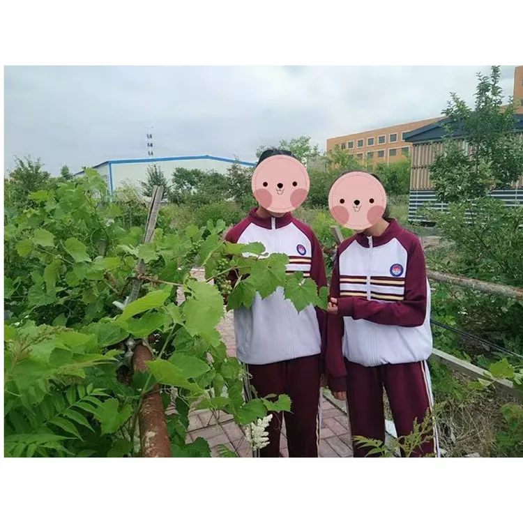 独山子初中春秋运动服