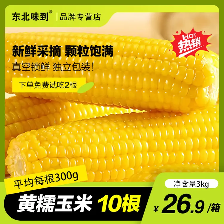 【25年新东北玉米】黄糯玉米300g*10根/箱（试吃2根）
