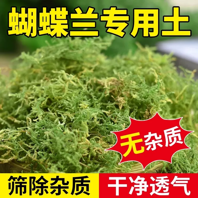 兰花专用优质干苔藓水苔蝴蝶兰石斛种植专用营养土爬宠乌龟垫材