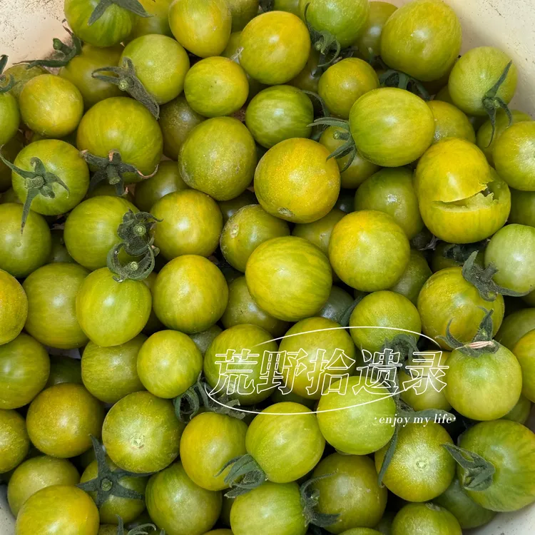 绿色大黄蜂番茄种子5粒 口感爽脆酸甜 传统品种可留种