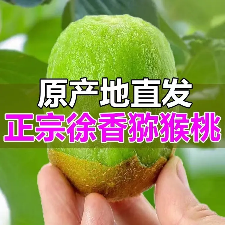 正宗陕西周至眉县徐香猕猴桃奇异果当季新鲜水果香甜多汁现摘现发