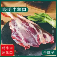 晓明牛羊肉【牛腱子】青藏高原新鲜牦牛肉 牛腱子 5斤 空运包邮