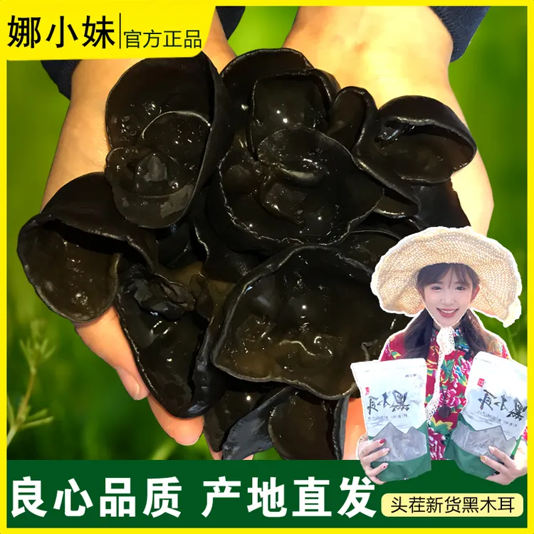 【娜小妹】东北新货秋木耳2025年头茬黑木耳无根肉厚木耳干货土特产