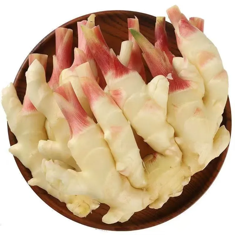 云南新鲜红芽嫩姜仔姜可做泡菜泡姜农家种植生姜天然脆嫩现挖现发
