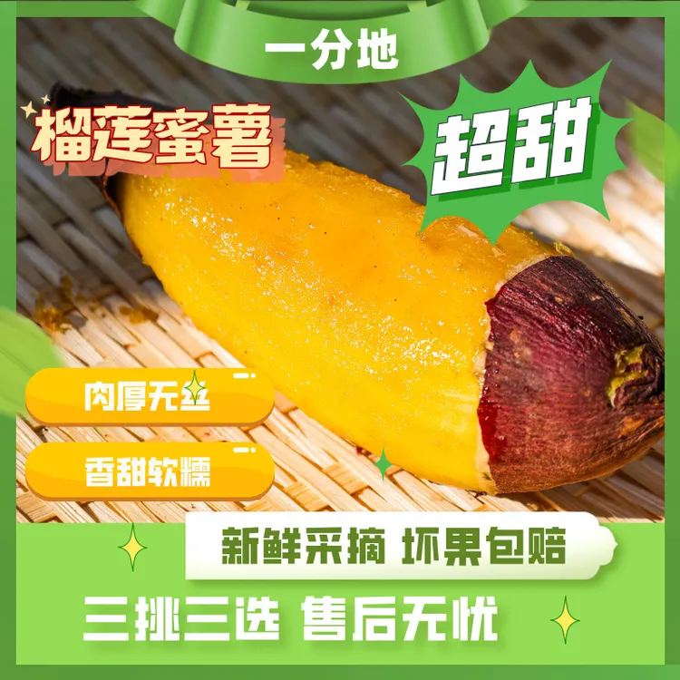 一分地黄金榴莲蜜薯新鲜现挖软糯香甜的健康粗粮