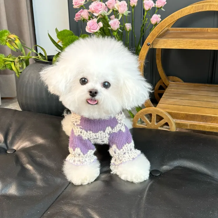 五只小白熊宠物衣服秋冬新品高弹蕾丝针织两脚内搭狗狗猫咪打底衫