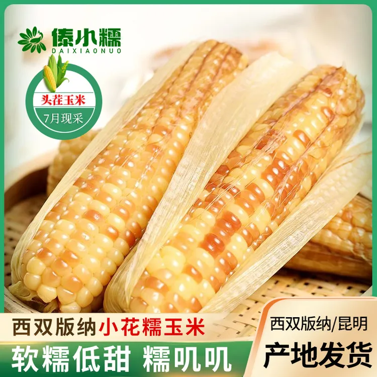 云南特产西双版纳花糯玉米香甜软糯小玉米真空即食玉米棒