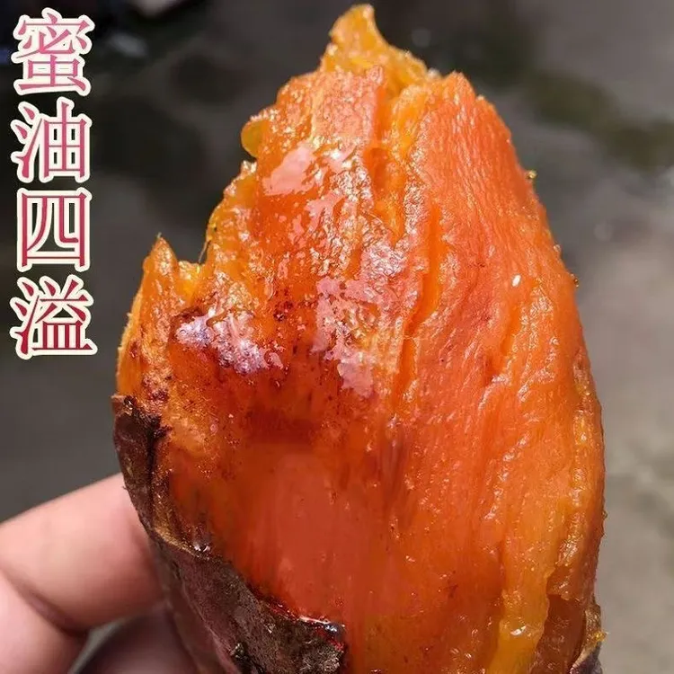 山东烟薯25号新鲜糖心蜜薯软糯香甜可蒸煮可烤