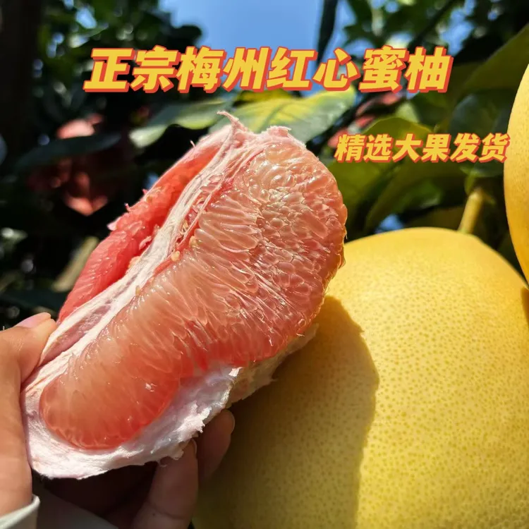 梅州红心蜜柚新鲜应季水果水份饱满中秋国庆送礼佳品