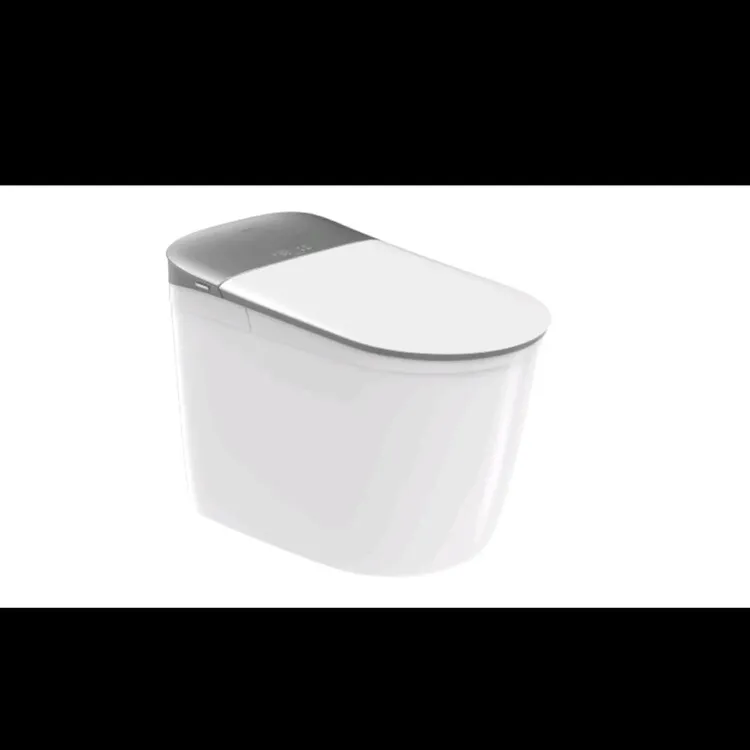 型号9550智能马桶图片冲除臭带三重脚感和清洁机器手萨克斯