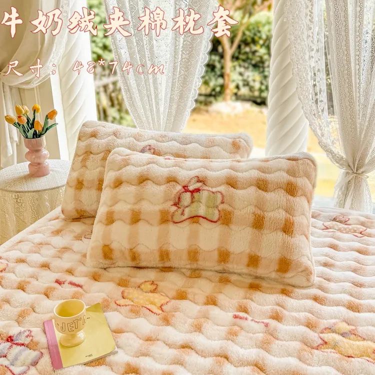 牛奶绒夹棉枕套一对装男48cmx74cm枕芯内胆套加绒加厚枕头套家用2