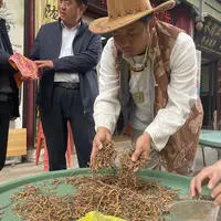 （大额定向链接）精品虫草2025年新货冬虫夏草现场收现场卖