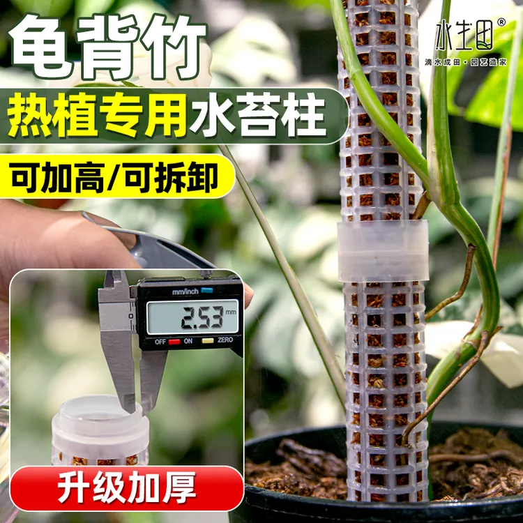水苔柱龟背竹热植专用白龟蔓绿绒可拼接新型植物攀爬柱花架支撑杆