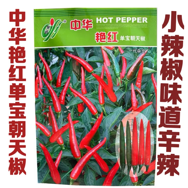 单生朝天辣椒种子味道辛辣小辣椒适合鲜食和干椒辣椒蔬菜种子