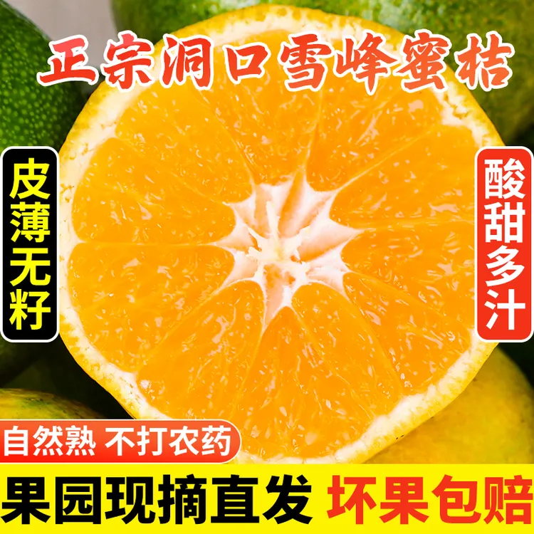 自家果园新摘洞口雪峰蜜桔早熟薄皮酸甜孕妇无籽青皮橘子整箱包邮