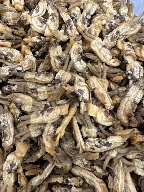 福建莆田哆头蛏干