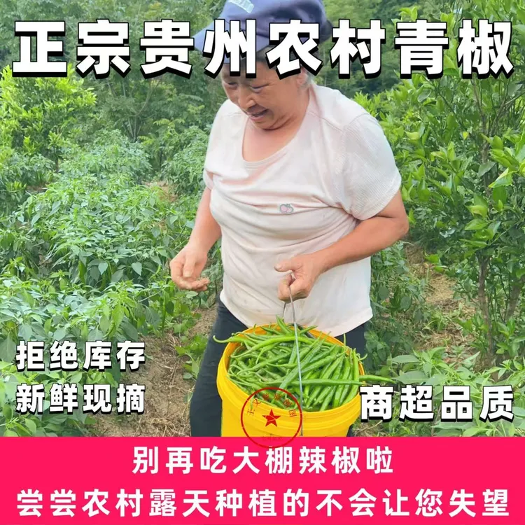 【农村青椒】贵州辣椒青椒二荆条线椒露天蔬菜农家菜香辣菜椒