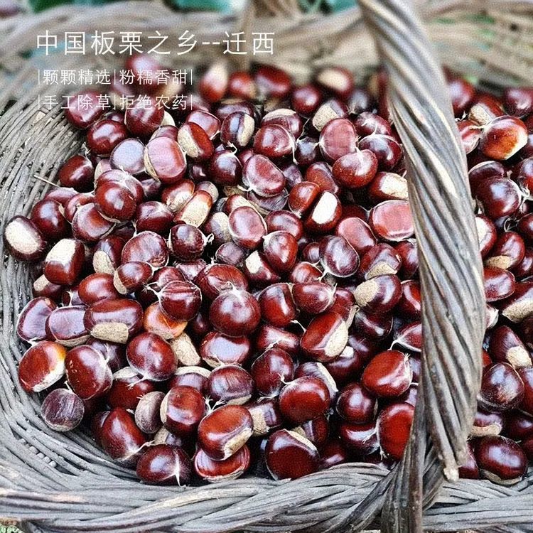 迁西板栗原产地直发3113精选大果精选特大果礼盒包装