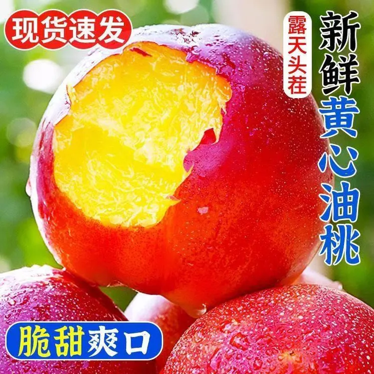 正宗山西黄肉油桃精品应季水果红皮黄肉现摘现发新鲜桃子整箱包邮