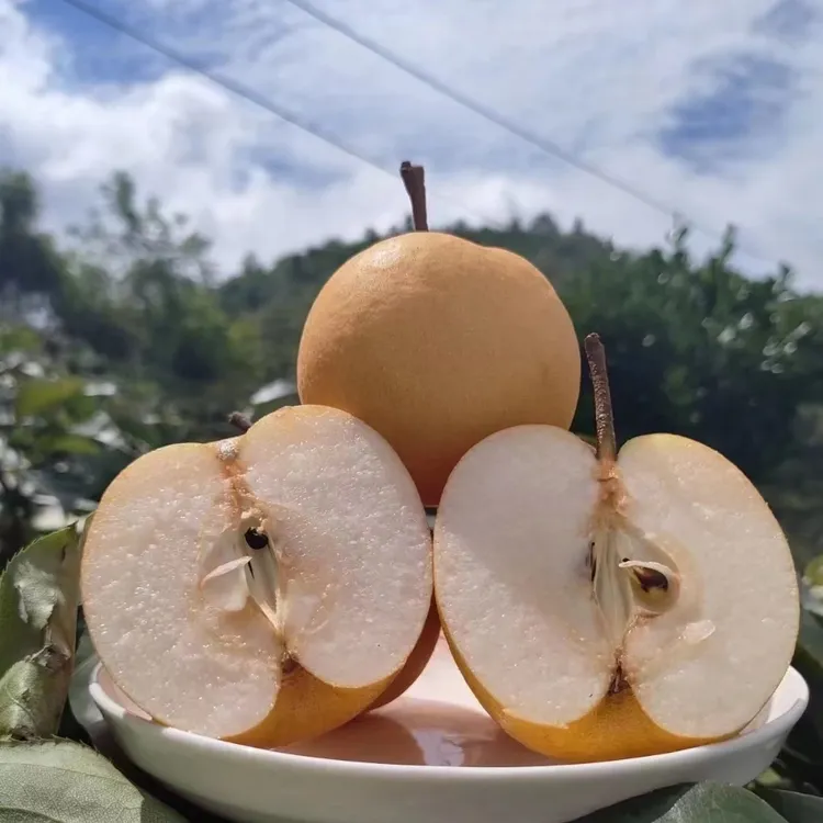 （三农妹）高山农家现摘圆黄梨 顺丰包邮