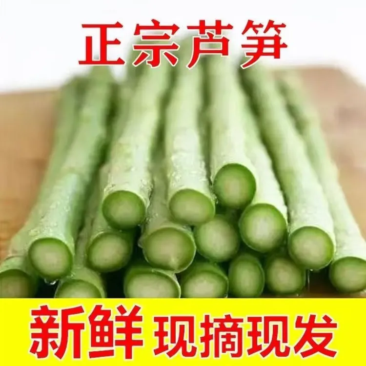 2025大棚芦笋特大芦笋基地直发现采新鲜芦笋脆嫩可口营养丰富