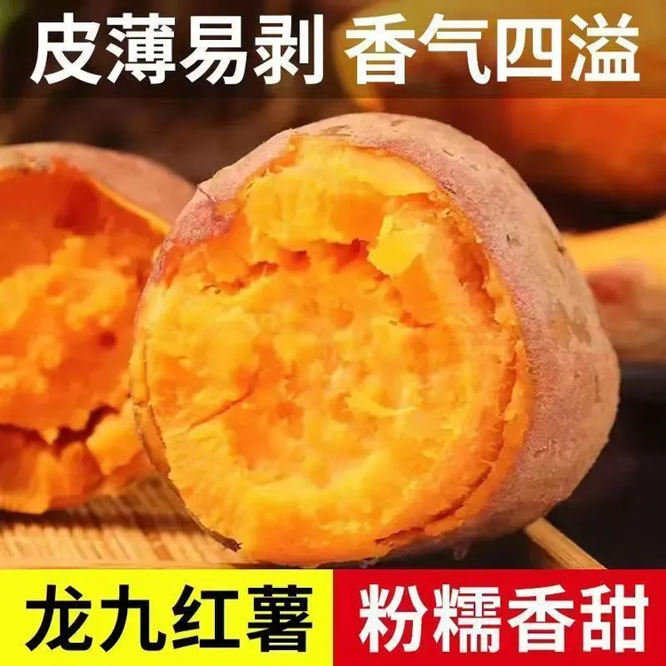 【甄选好物】红薯新鲜糖心地瓜香薯山芋农家自种红皮黄心软糯香甜
