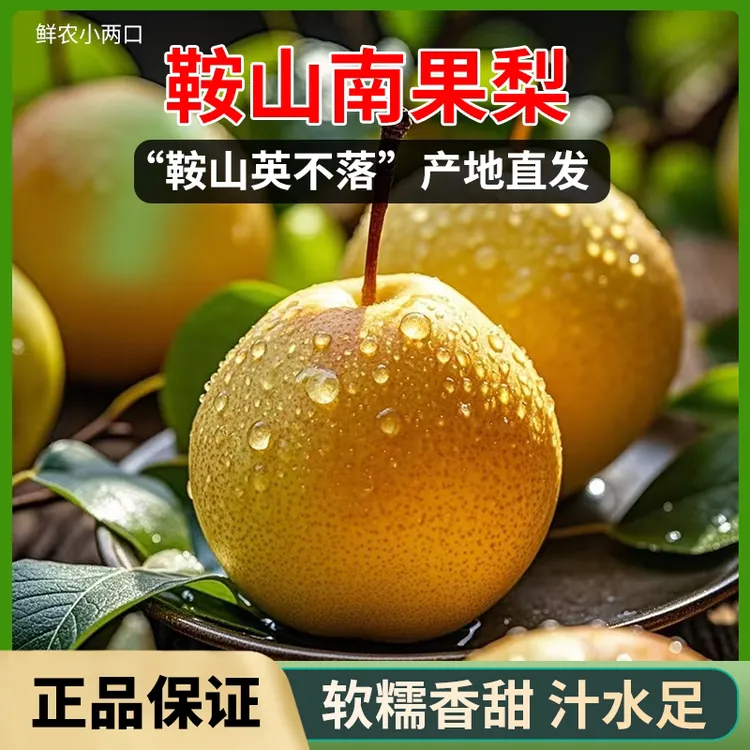 正宗辽宁鞍山南果梨 大屯英不落南果梨 软糯香甜5斤包邮S