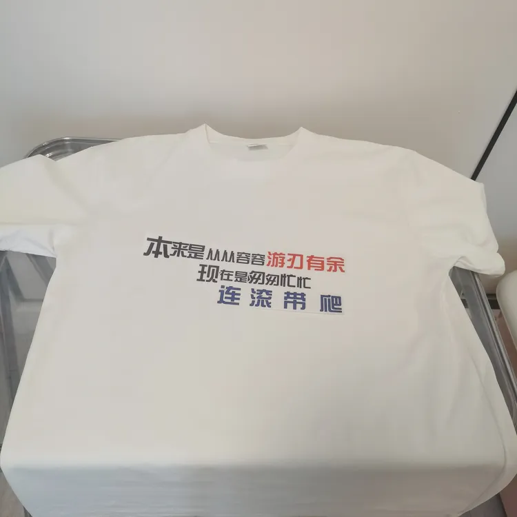 网络热梗王世坚T恤本来应该是从从容容纯棉没出息短袖男女打底衫