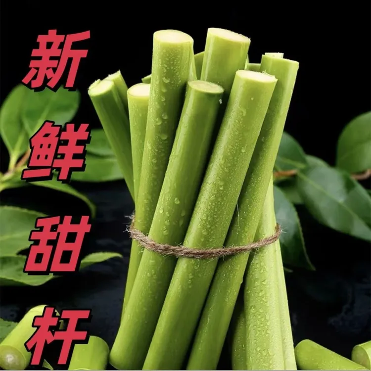 甜杆甜芦粟甜高粱甜到梢甜棒芦稷水子童年零食小时候的味道2斤5斤