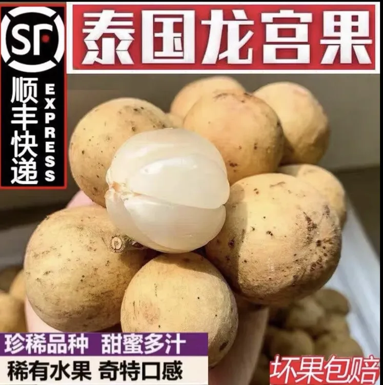 【空运到货】新鲜泰国进口龙宫果特大5A大果新鲜当季稀有热带水果