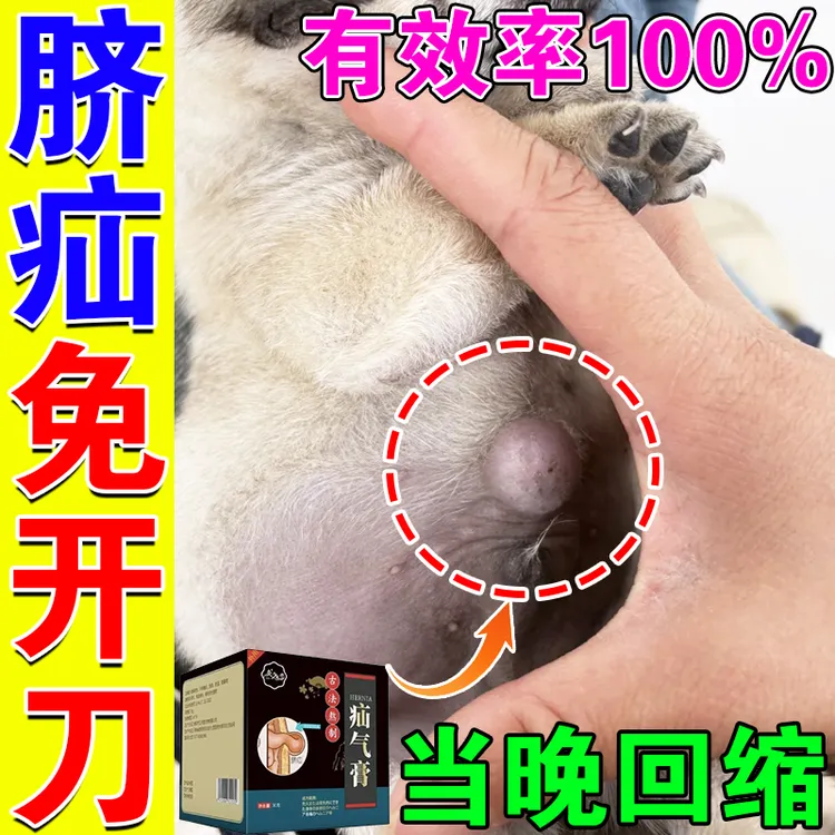 【无需动刀】狗狗疝气幼犬老犬鼓包肚子有硬块脐疝腹股沟疝气消除膏