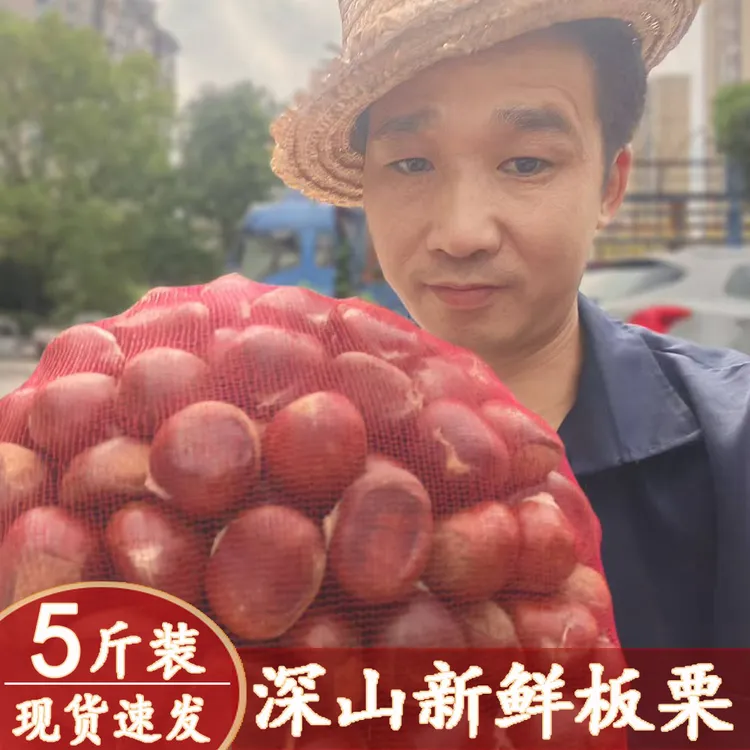 【伯公嘴少爷】新鲜生板栗子2025年产地直发野生毛栗现摘现发无毛刺老树板栗5斤