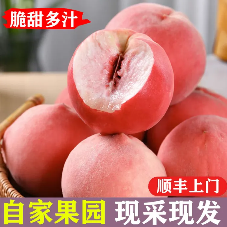 【顺丰秋彤蜜桃】新鲜水果脆甜桃子应季自家果园现摘现发软硬两吃