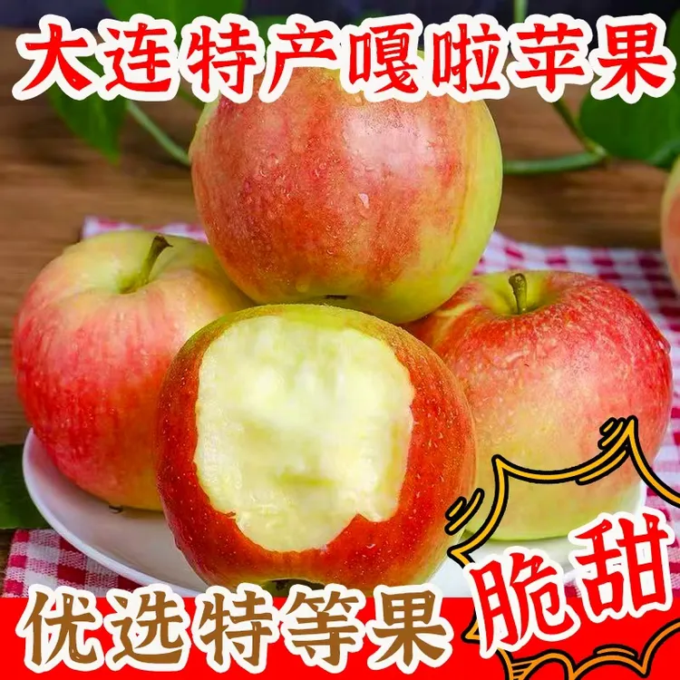 大连新鲜苹果现摘嘎啦苹果孕妇水果红富士应季脆甜产地直发