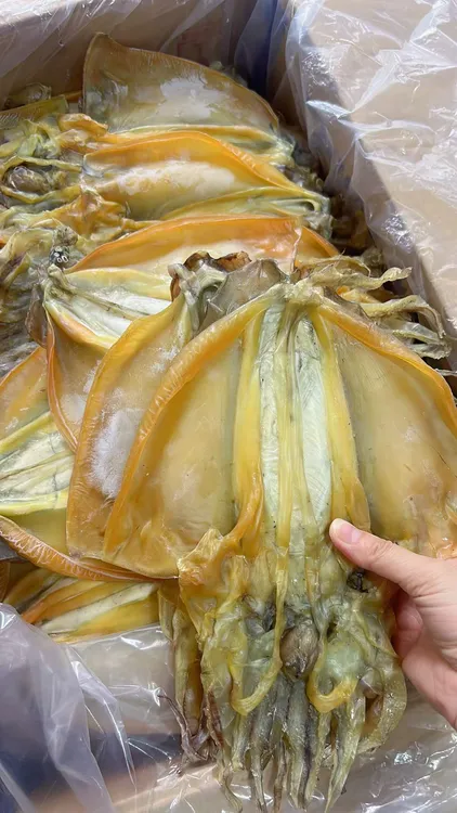 福建特产惠安新鲜纯淡干墨鱼干 煲汤炒菜营养美味2-4只一斤