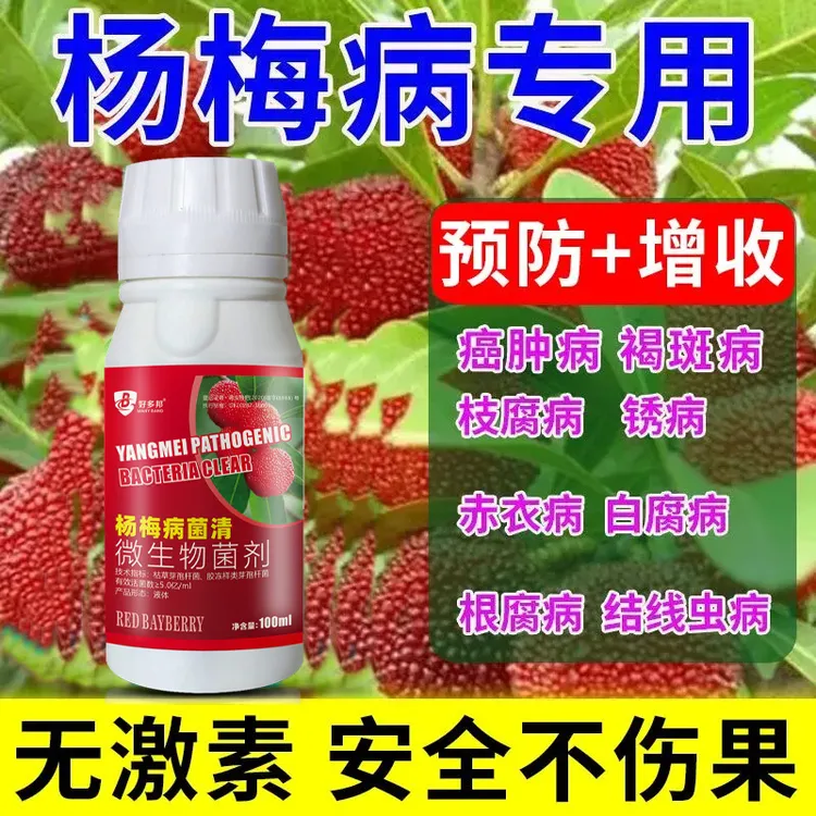 杨梅病专治药炭疽病赤衣病凋零病干枯病枝腐病根腐病专用杀菌剂