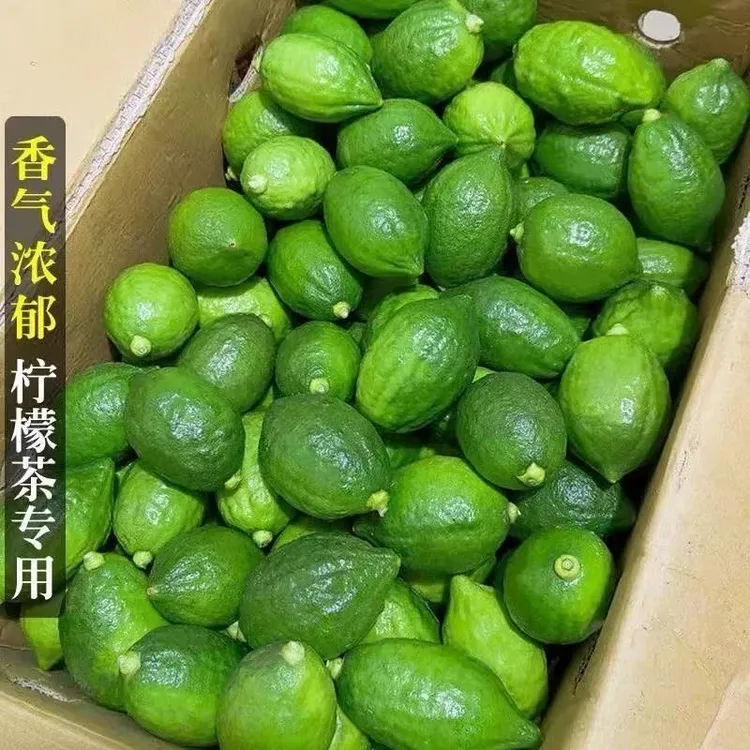 苒彩现摘广东香水柠檬二级果多汁一级果香浓郁新鲜直发奶茶店专用