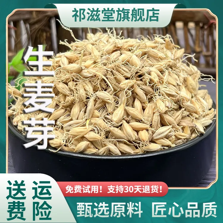 麦芽中药材生麦芽大麦茶干麦牙回泡水粉奶大麦芽新鲜搭山楂鸡内金