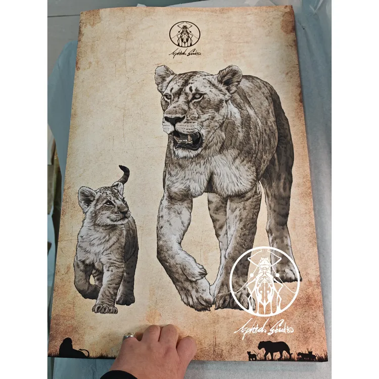 aphid Studio蚜虫工作室手绘熊脸女王海报