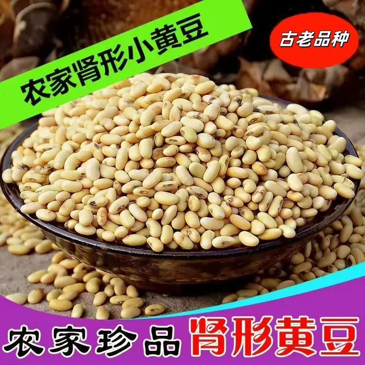 非转基因农家肾形小黄豆打豆浆磨豆腐杂粮新货黄豆