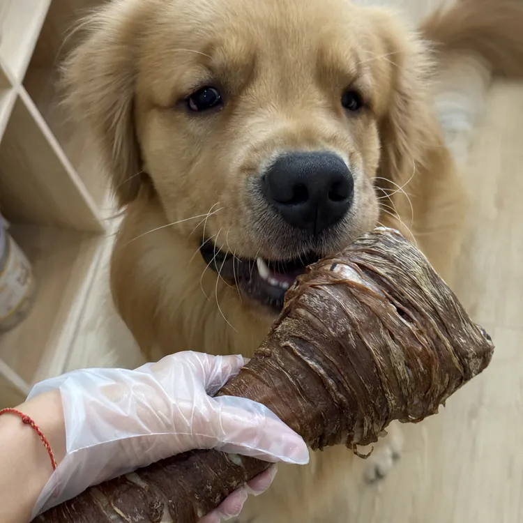 骨头太大一个屏幕放不下狗狗磨牙骨头磨牙洁齿大棒骨中大型犬磨牙