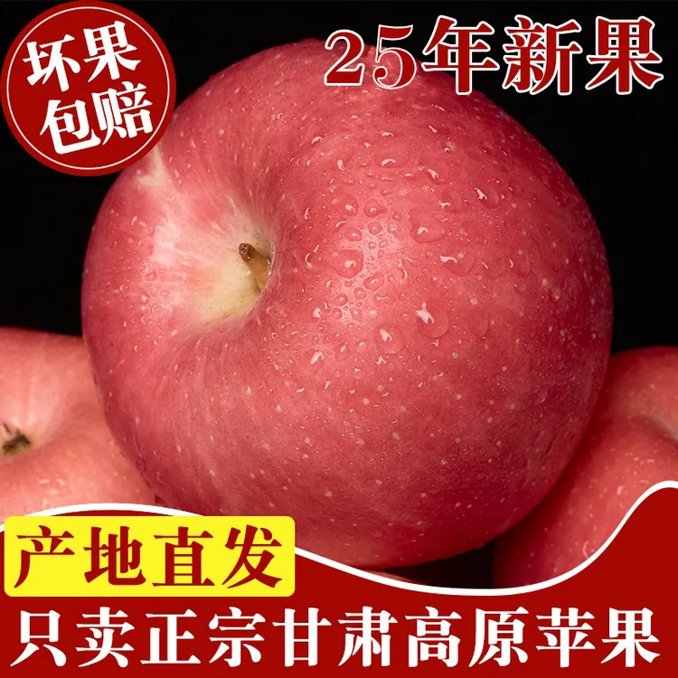 甘肃庆阳红富士红苹果 脆甜多汁 2025应季 肉厚正宗冰糖心嘎嘣脆