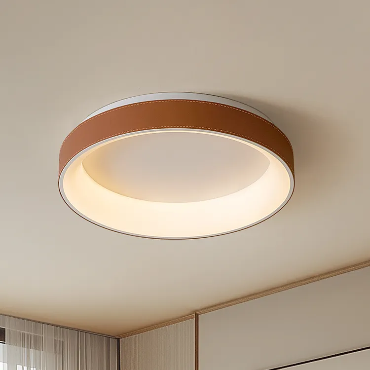 摩灯会 吸顶灯 主卧室房间高端简约网红新款高级感创意个性24453